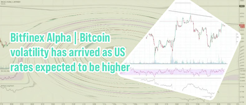 Bitfinex btc long vs short
