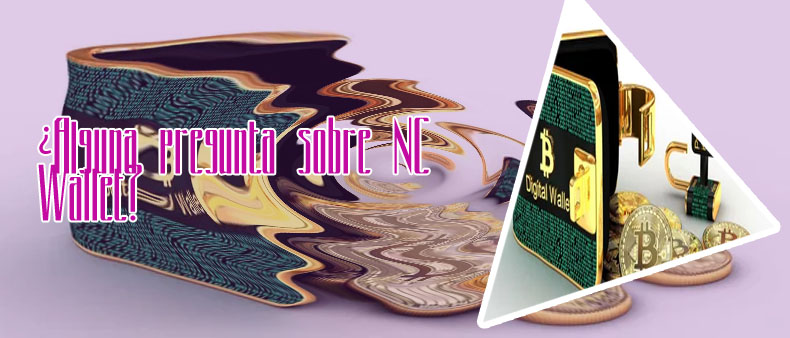 Como hacer una wallet para criptomonedas