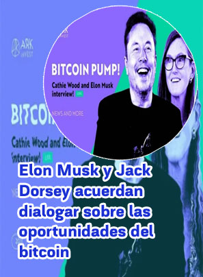 Musk give btc