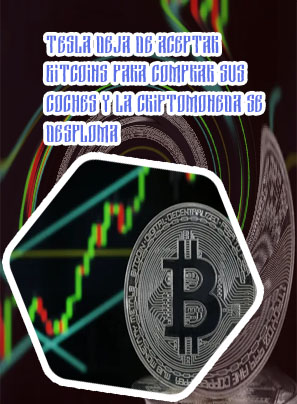 Precio bitcoin dolares