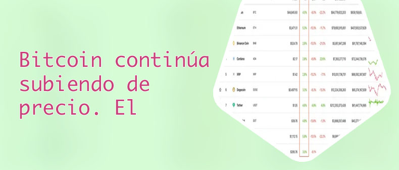 Precio del bitcoin coingecko